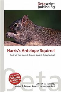 Harris's Antelope Squirrel
