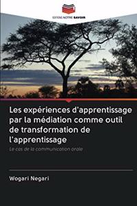 Les expériences d'apprentissage par la médiation comme outil de transformation de l'apprentissage