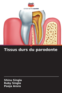 Tissus durs du parodonte