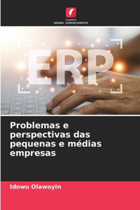 Problemas e perspectivas das pequenas e médias empresas