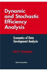 Dynamic and Stochastic Efficiency Analysis