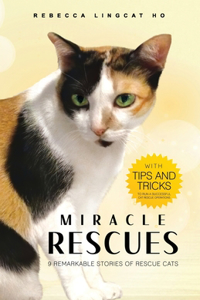 Miracle Rescues