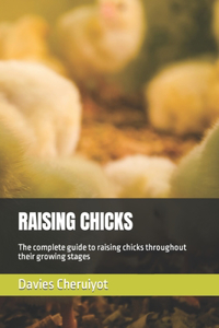 Raising Chicks