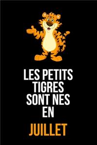 Les petits tigres sont nés en juillet