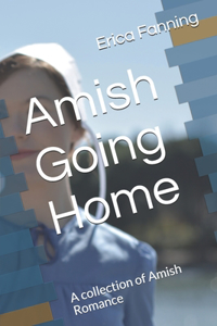 Amish Going Home