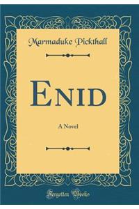 Enid: A Novel (Classic Reprint)