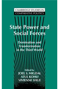 State Power and Social Forces