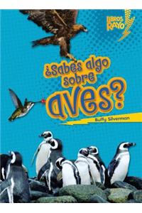 ¿Sabes Algo Sobre Aves? (Do You Know about Birds?)