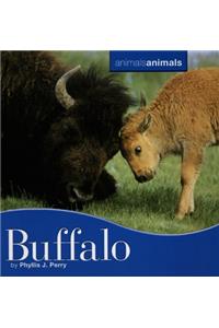 Buffalo