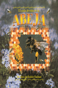 El Ciclo de Vida de Abeja