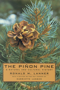 The Pinon Pine