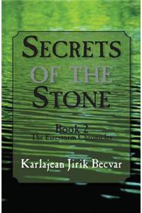 Secrets of the Stone: Book 2: The Firestorm Chronicles