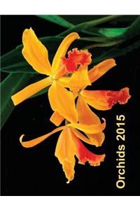 Orchids 2015