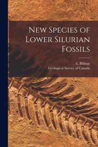New Species of Lower Silurian Fossils [microform]