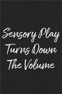 Sensory Play Turns Down The Volume