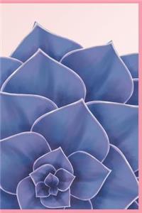 Flamboyant Echeveria Journal