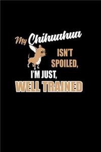 My Chihuahua isn't Spoiled, I'm Just Well Trained