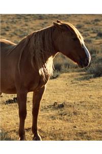 Horse Photo School Composition Book Equine Grumpy Chestnut