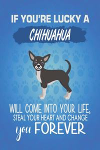 If You're Lucky A Chihuahua Will Come Into Your Life, Steal Your Heart And Change You Forever: Composition Notebook for Dog and Puppy Lovers