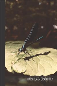 Dark Black Dragonfly