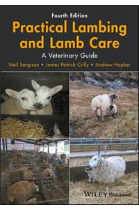 Practical Lambing and Lamb Care