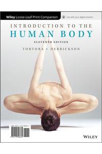 Introduction to the Human Body