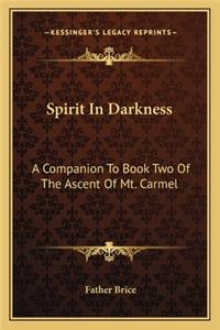Spirit In Darkness
