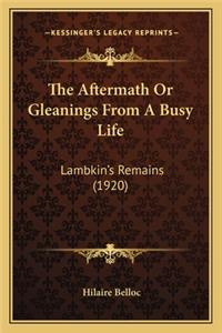 The Aftermath Or Gleanings From A Busy Life