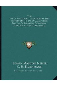 The Eye Of Palaemonetes Antrorum, The History Of The Eye Of Amblyopsis, The Eye Of Rhineura Floridana, Zoological Miscellany (1902)