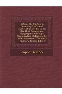 Histoire Du Canton de Sennecey-Le-Grand (Saone-Et-Loire) Et de Ses Dix-Huit Communes: Topographie, Geologie, Organisation Religieuse Et Administrative, Volume 3