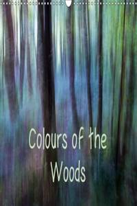 Colours of the Woods 2016