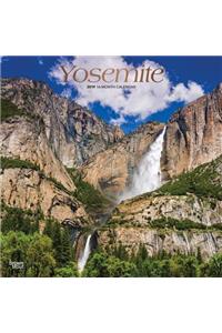 Yosemite 2019 Square Foil