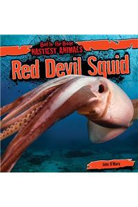 Red Devil Squid