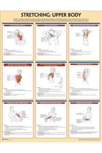 Stretching Poster: Upper Body
