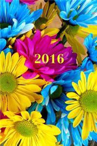 2016