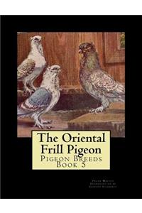 The Oriental Frill Pigeon