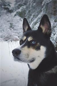 Say Hello to the Husky Dog Journal