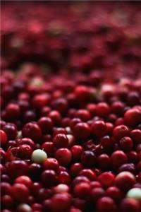 Organic Red Cranberries Autumn Harvest Journal