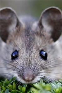 Cute Little Brown Mouse Portrait Journal