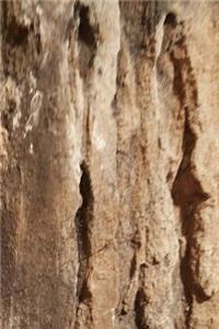 Journal Natural Stone Surface