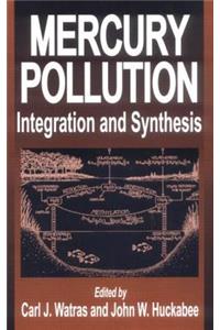 Mercury Pollution Integration and Synthesis