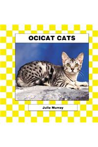 Ocicat