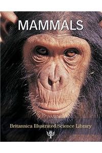 Mammals