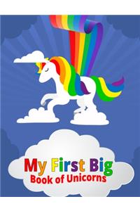 My First Big Book of Unicorns