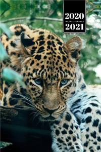 Panther Leopard Cheetah Cougar Week Planner Weekly Organizer Calendar 2020 / 2021 - Deep in Jungle