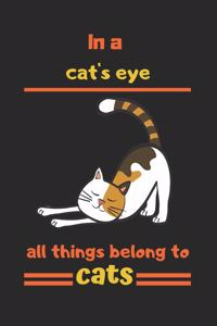 In a cat's eye, all things belong to cats