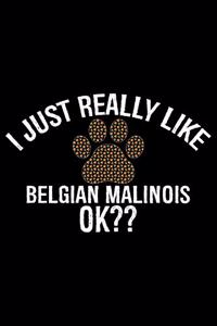 I Just Really Like Belgian Malinois Ok?