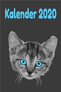 Katzenbaby Kalender 2020
