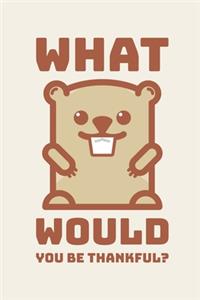 What Would You Be Thankful