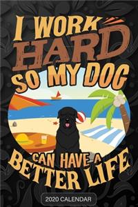 I Work Hard So My Dog Can Have A Better Life